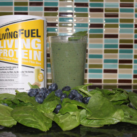 Ottawa Nutrition Coaching - Burke Cleland - Popeye Shake