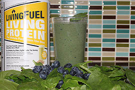 Ottawa Nutrition Coaching - Burke Cleland - Popeye Shake