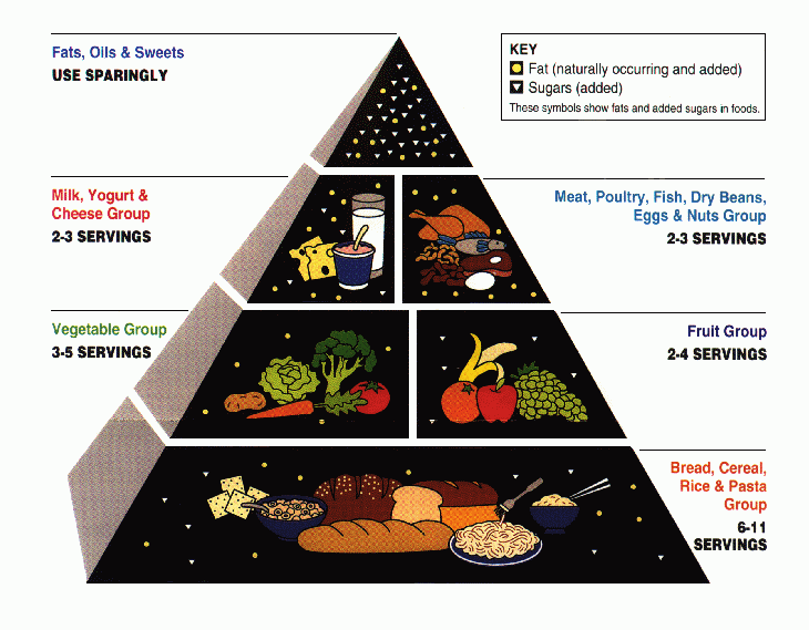 Nutrition: So They Got Rid of the Food Pyramid…